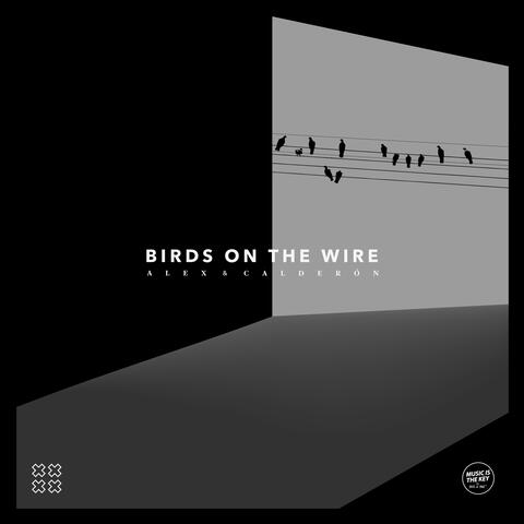 Birds on the Wire