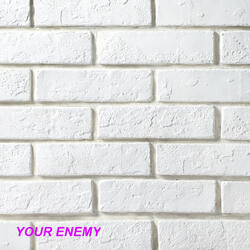Your Enemy
