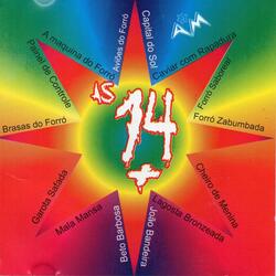 Bebo Porque Gosto de Beber