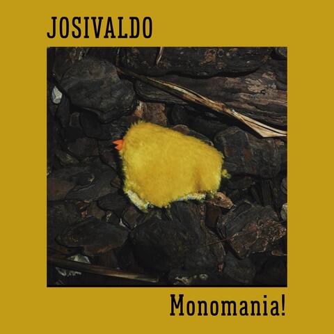 Josivaldo