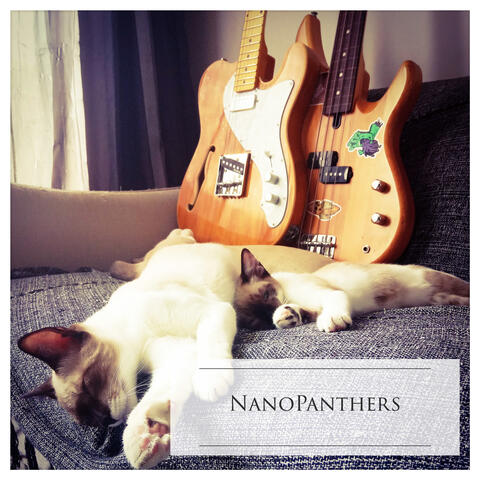 Working, Studying and Relaxing with My Lofi Cats