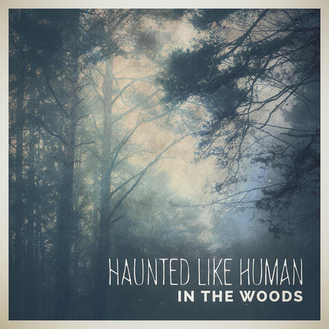 In the Woods