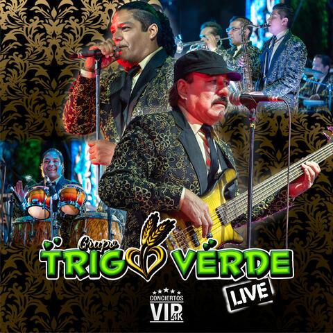 Conciertos Vip 4K