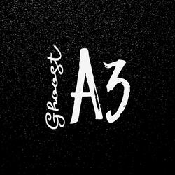 A3