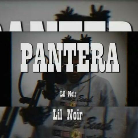 Pantera