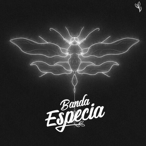 El Dibujo de Tus Pies