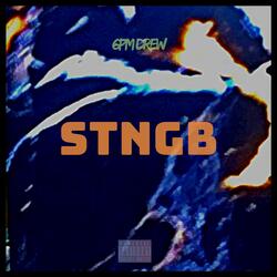 S.T.N.G.B
