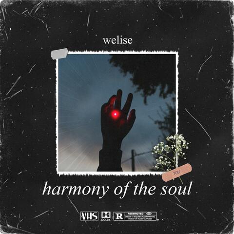 Harmony of the Soul