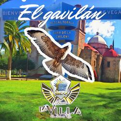 El Gavilán