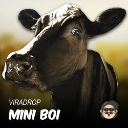 Mini Boi
