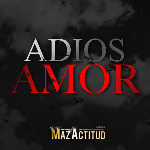 Adios Amor