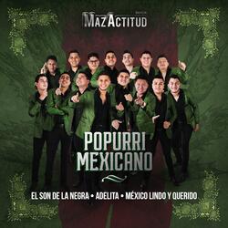 Popurri Mexicano: El Son De La Negra / Adelita/ México Lindo y Querido
