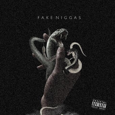 Fake Niggas