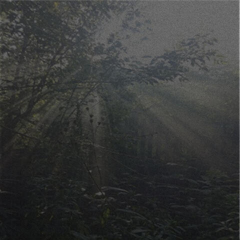 I Want to Die in Friday