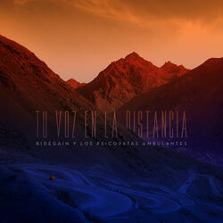 Tu Voz en la Distancia
