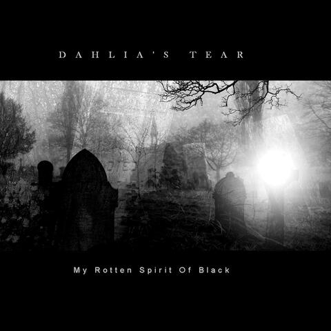 My Rotten Spirit of Black