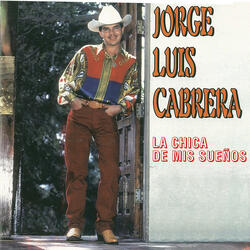 Volver a Verte