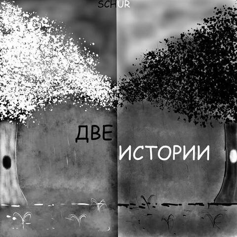 Две истории