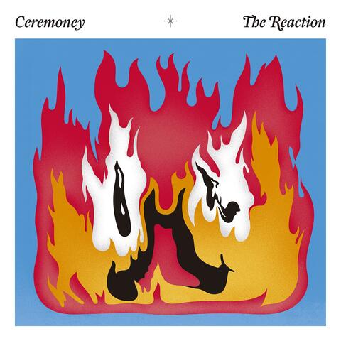 The Reaction
