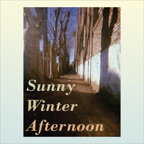 Sunny Winter Afternoon