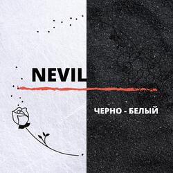 Чёрно-белый