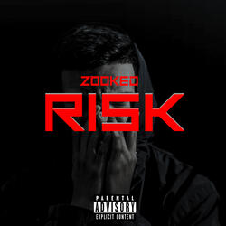 Risk