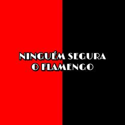 Ninguém Segura o Flamengo