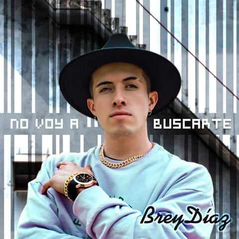 No Voy a Buscarte