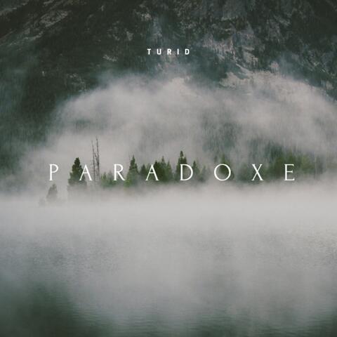 Paradoxe