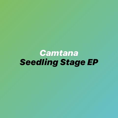 Seedling Stage