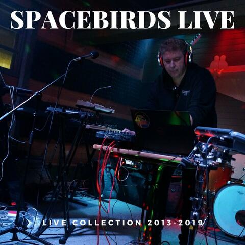 Spacebirds