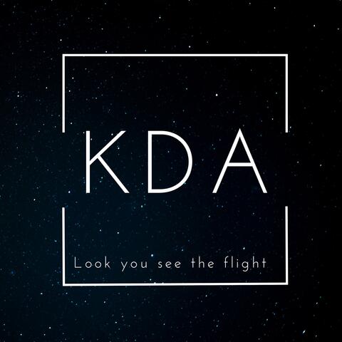 Look You See the Flight