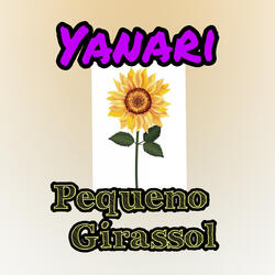 Pequeno Girassol