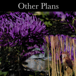 Other Plans