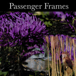 Passenger Frames