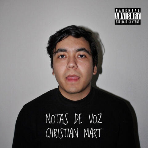 Notas de Voz