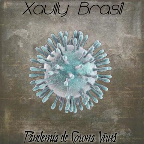 Pandemia de Coronavírus