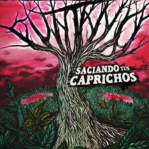 Saciando Tus Caprichos