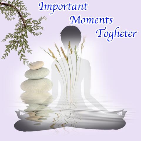 Important Moments Togheter