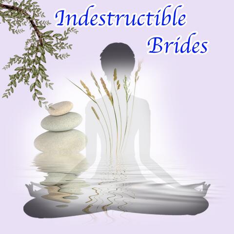 Indestructible Brides