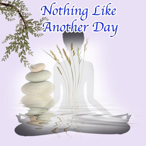 Nothing Like Another Day