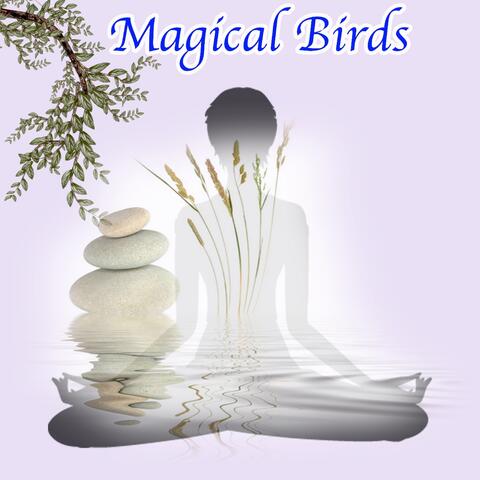 Magical Birds