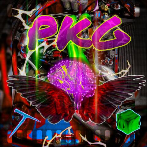 Pkg