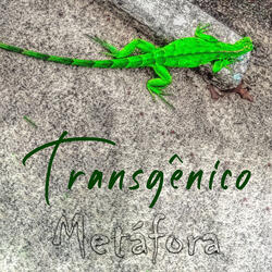 Transgênico