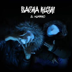 Bacha Kush!