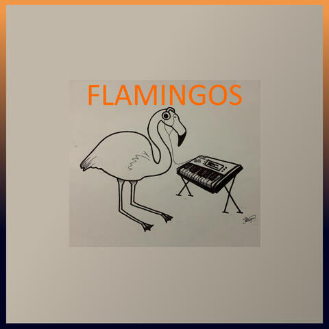 Flamingos