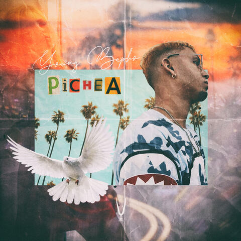 Pichea