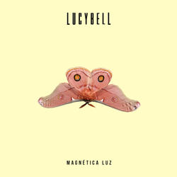 Magnética Luz