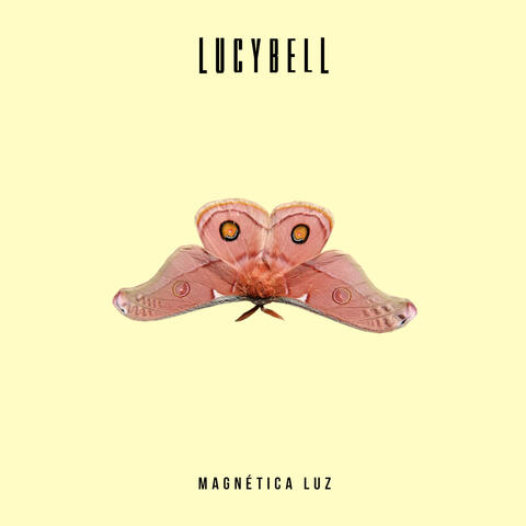 Magnética Luz