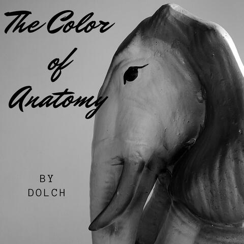 The Color of Anatomy